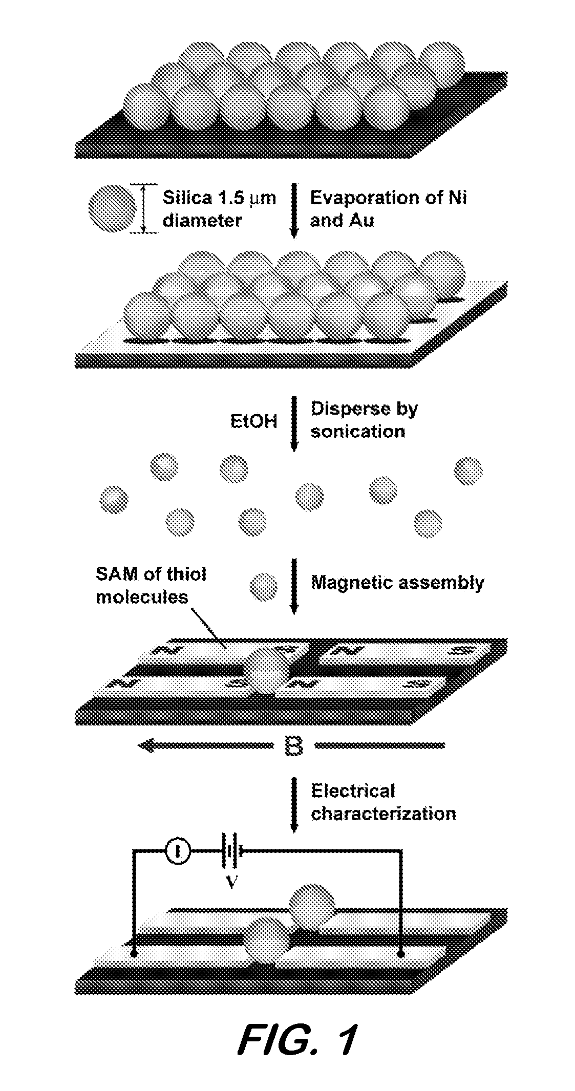 Magnetically directed self-assembly of molecular electronic junctions comprising conductively coated ferromagnetic microparticles