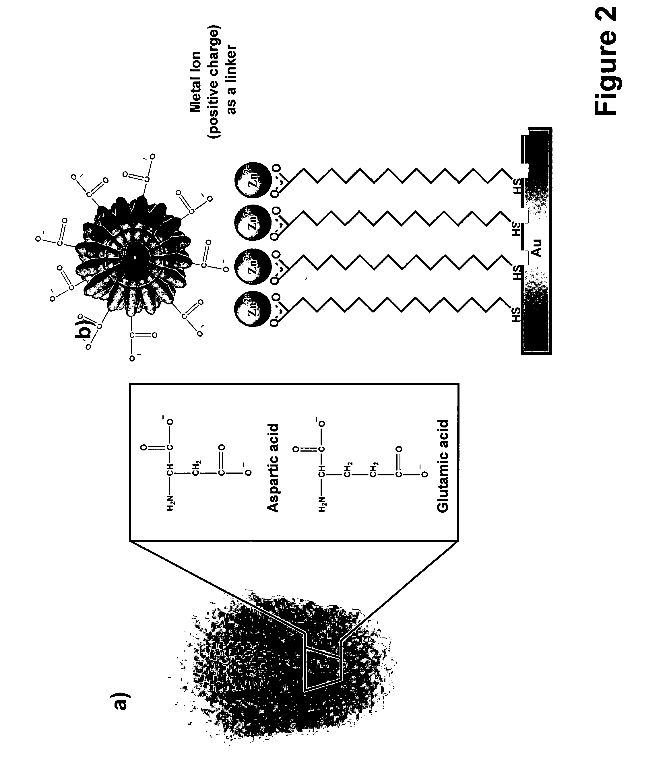 Nanoarrays of single virus particles, methods and instrumentation for the fabrication and use thereof