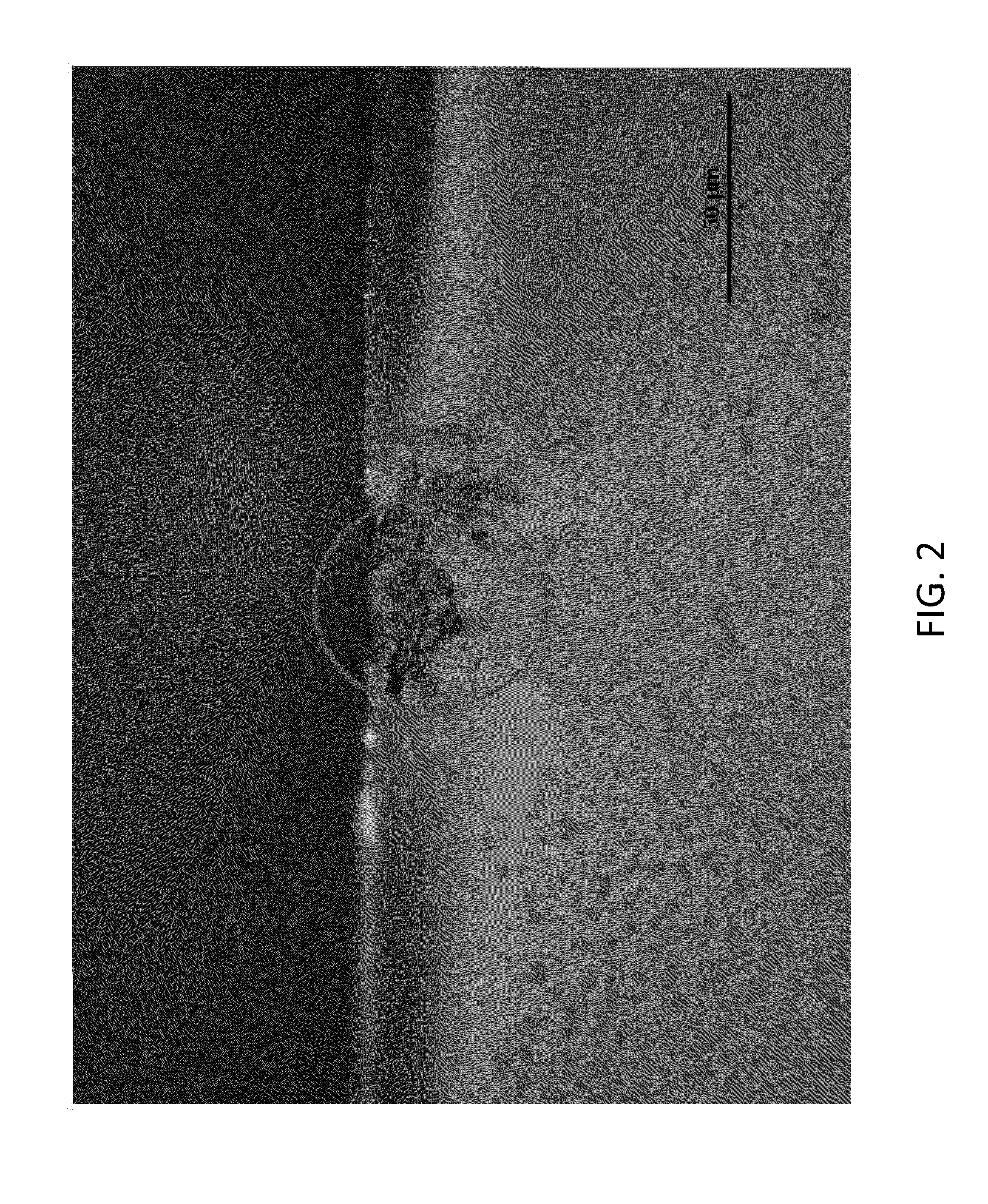 Strengthened glass articles having improved survivability