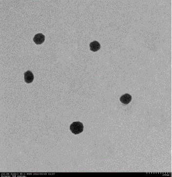 A kind of sirolimus nano-suspension and preparation method thereof