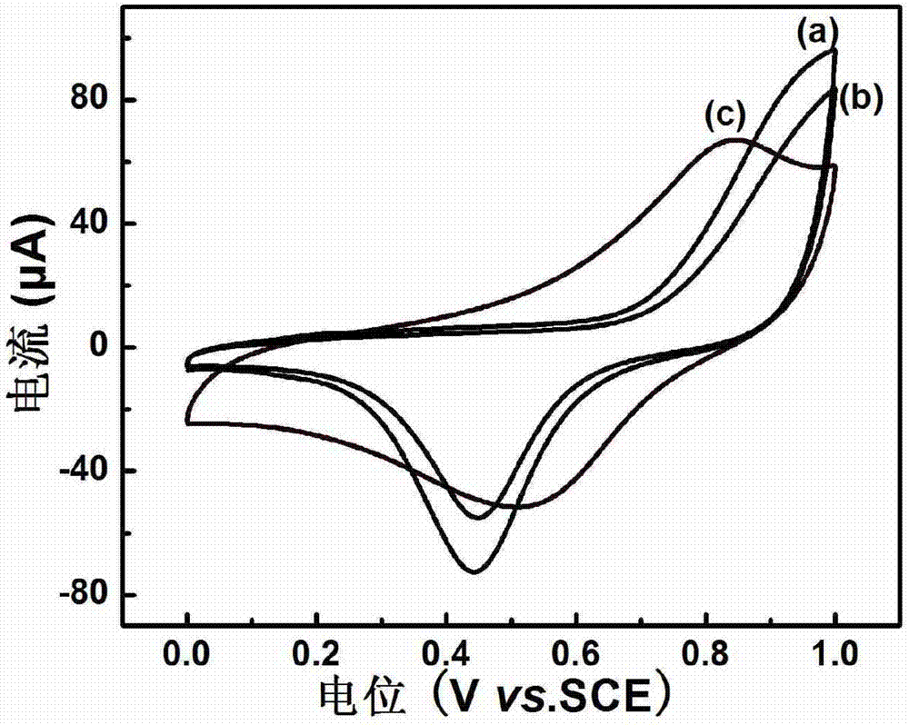 Electrochemical biosensor and application thereof