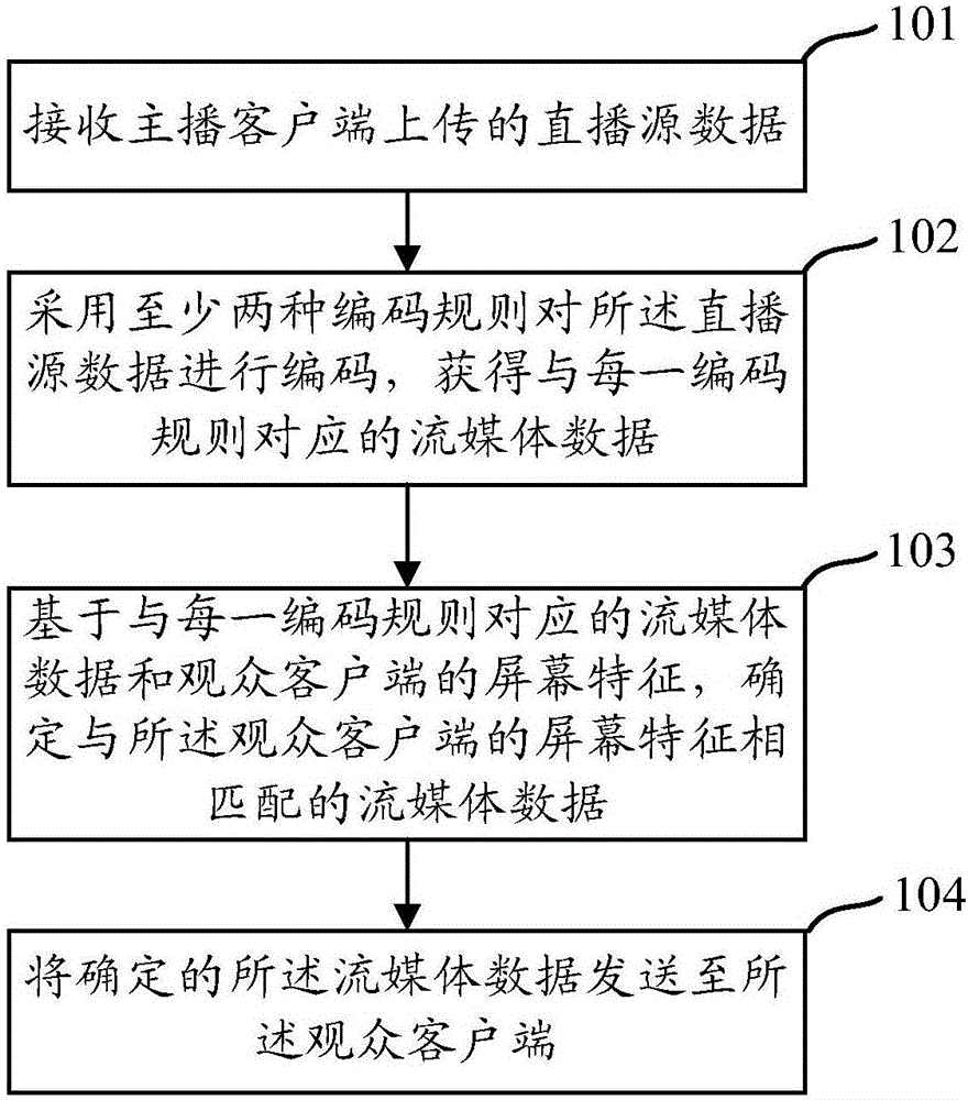 Direct broadcast processing method and apparatus, direct broadcast server and direct broadcast system