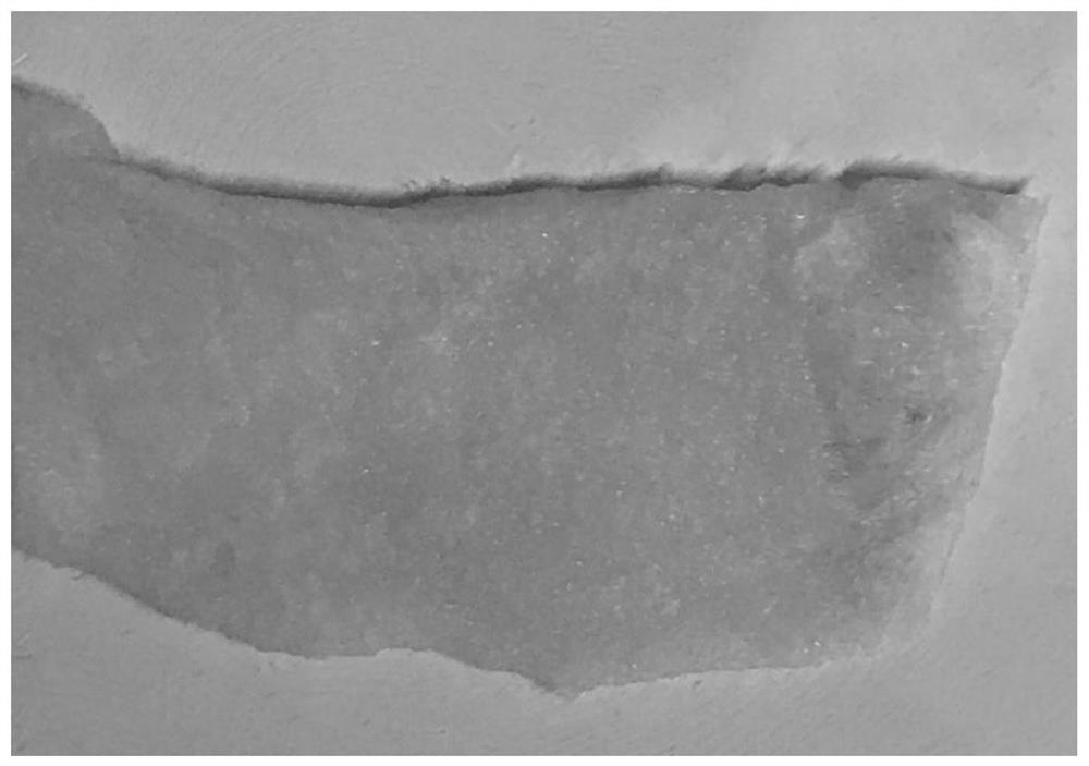 A kind of hydrogel based on acellular dermal matrix and its preparation method