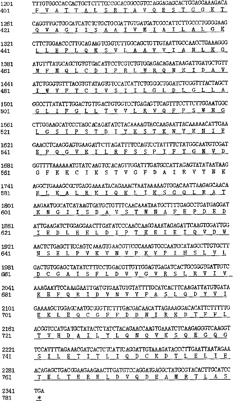 Reagent kit for detecting 611G&gt;T mutation of large vestibular aqueduct related gene SLC26A4