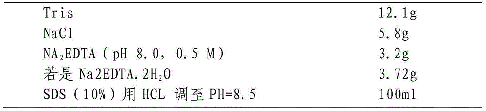 Grain weight molecular marker for wheat and application of grain weight molecular marker in breeding