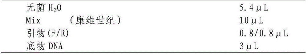 Grain weight molecular marker for wheat and application of grain weight molecular marker in breeding