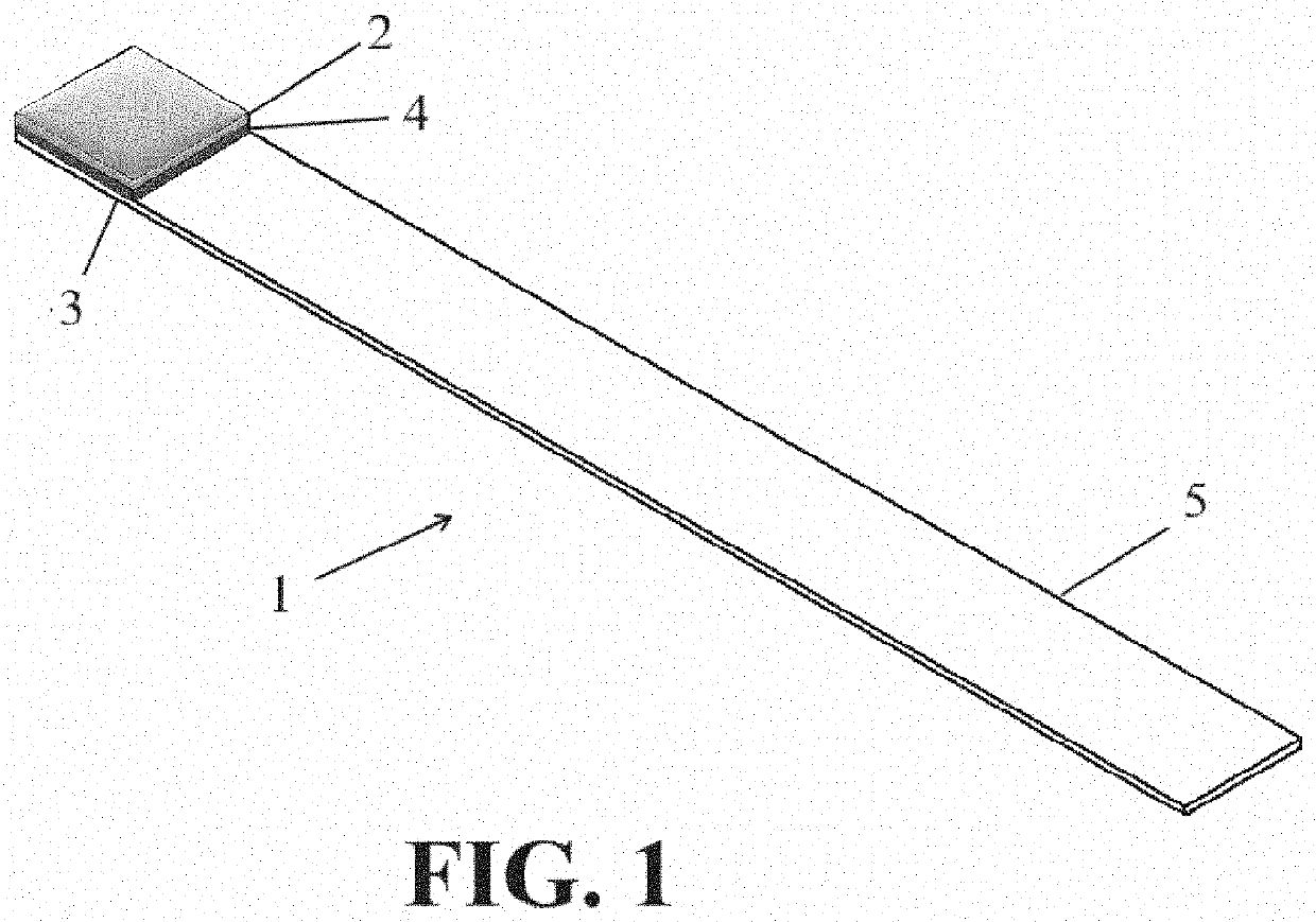 Infection detection device and method using same