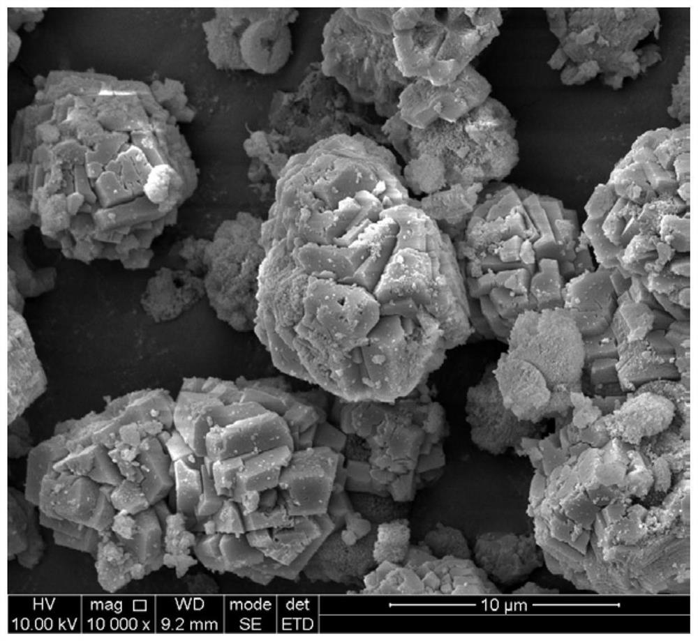 Method for preparing calcite by induction of herbs