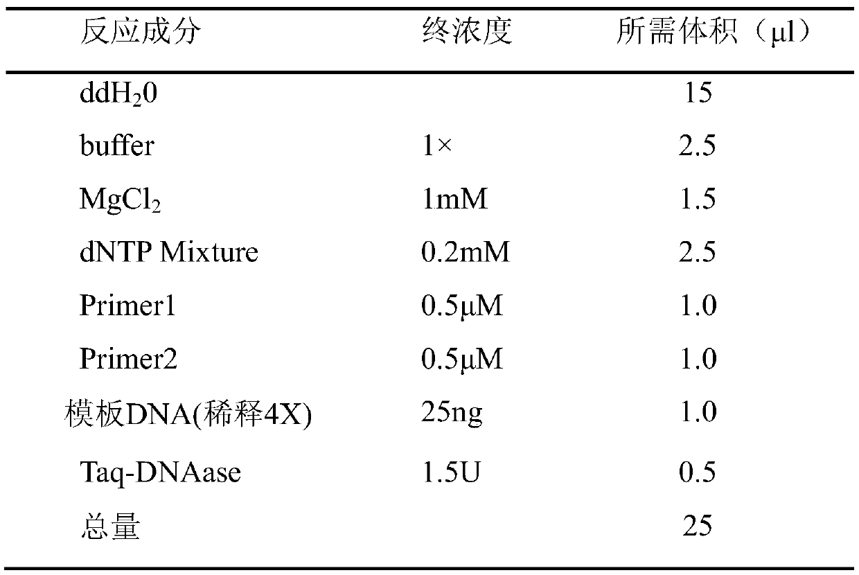 Aroma-producing sweet potato fungus and its application