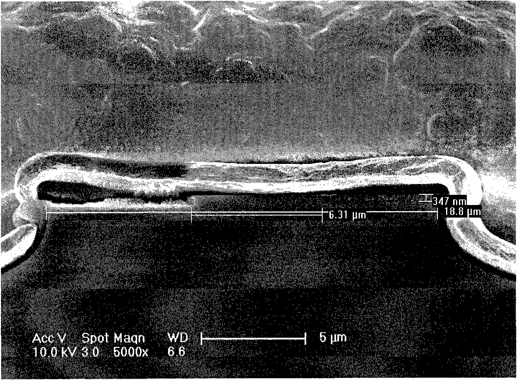 Quantum cascade laser with photonic quasi-crystal waveguide and manufacture method thereof