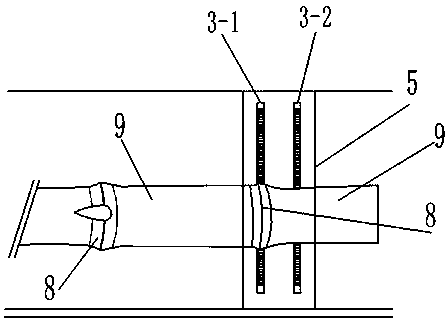 Seed bud recognition sensor of sugarcane cutting machine