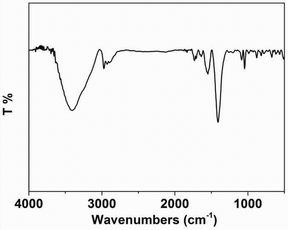 Non-precious metal-nitrogen-carbon type oxygen reduction catalyst and preparation method thereof