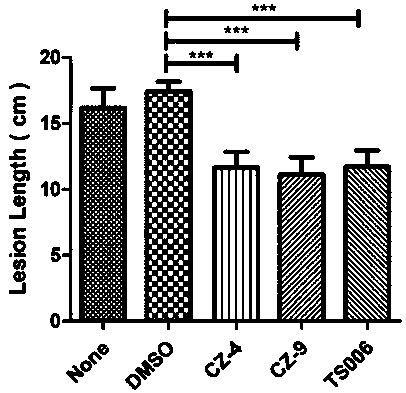 Application of cinnamylic acid compound in preventing and/or treating plant diseases