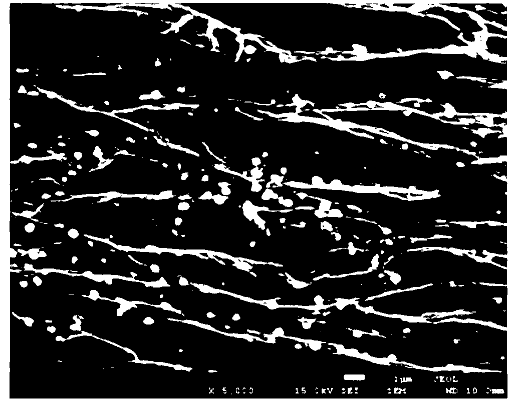 Method for spontaneously depositing three-dimensional graphene on conductive substrate