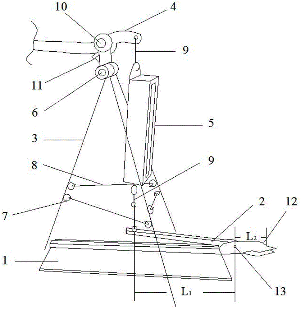 Apparatus and method for measuring the tensile force of adductor muscle of bivalve mollusk