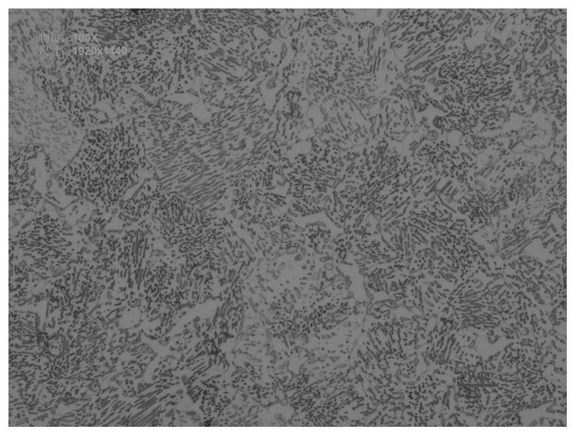 Spheroidizing annealing steel for low-temperature-resistant high-strength ball screw and manufacturing method of spheroidizing annealing steel