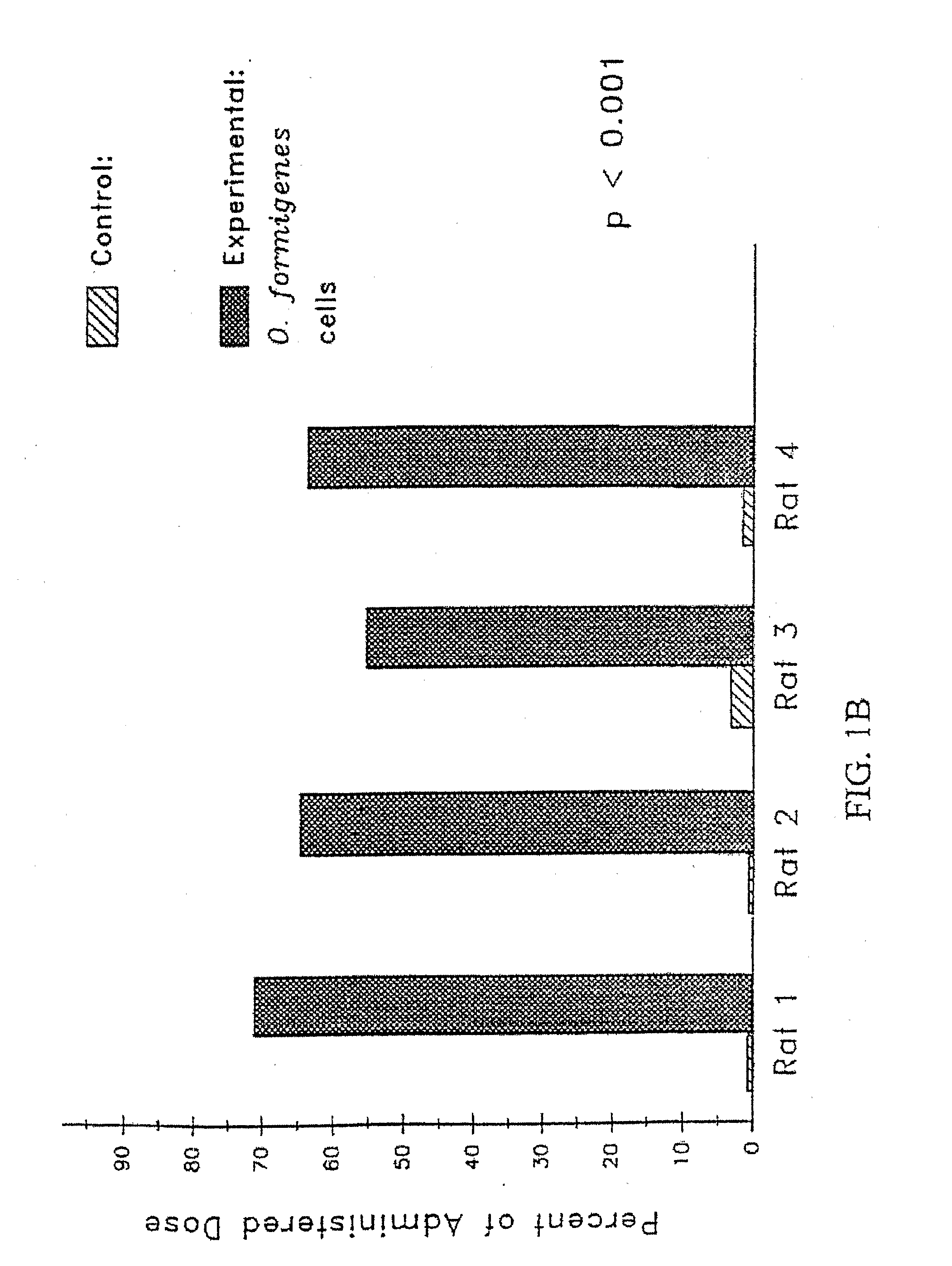 Pharmaceutical Compositions and Methods for Treating or Preventing Oxalate-Related Disease