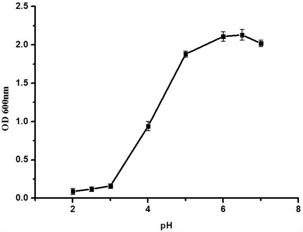 Exopolysaccharide-producing pediococcus pentosaceus and application thereof