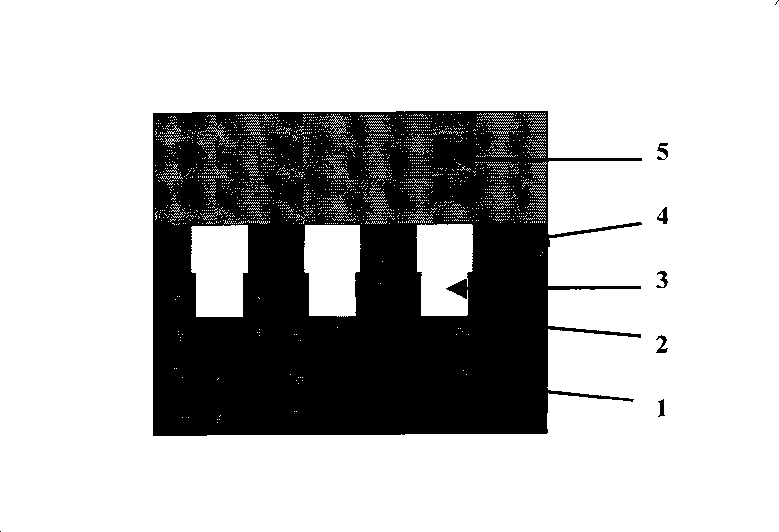 Porous material substrate used in GaN film grown by HVPE method and method thereof