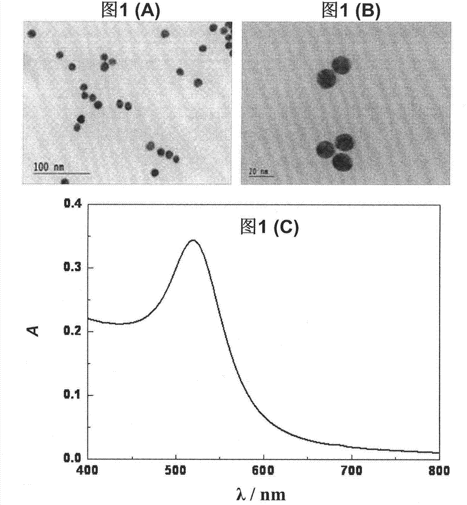 Method for detecting DNA single base mutant color by using nuclease reaction