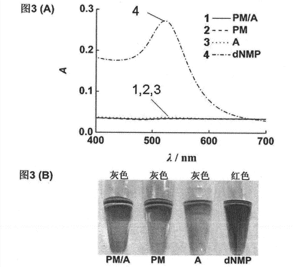 Method for detecting DNA single base mutant color by using nuclease reaction