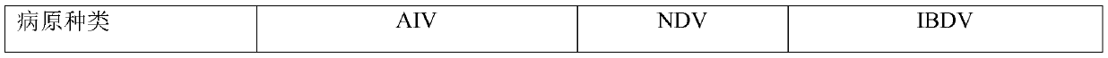 Composition containing grapefruit seed extract, preparation method and application thereof