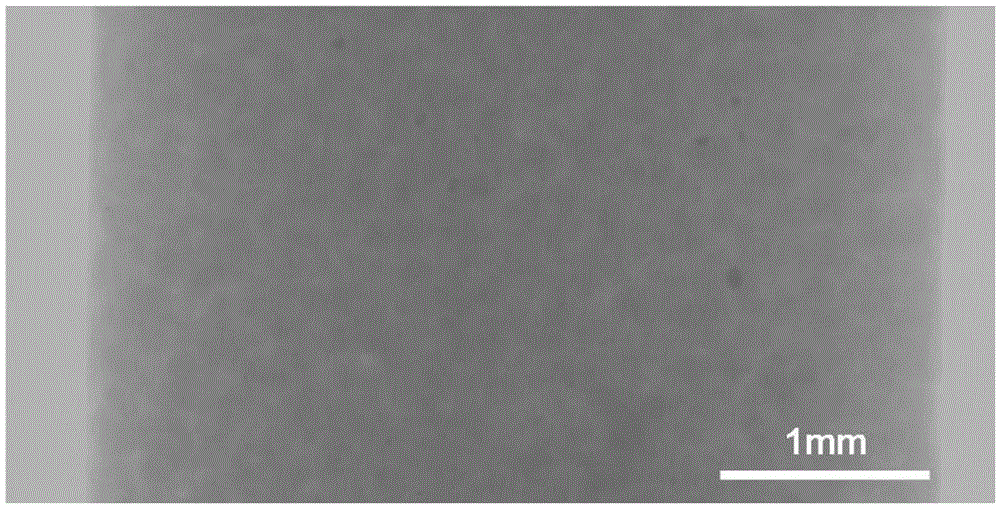 A High Resolution 3D Digital Core Modeling Method