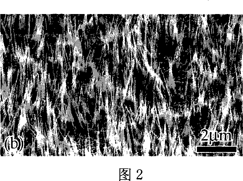 Preparation method for one-dimensional metallic oxide nano needle material