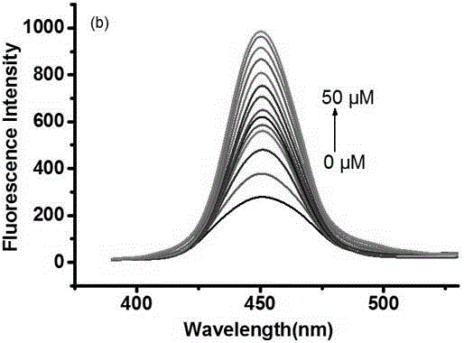 Synthesis and application of fluorescence-enhanced fluorescent molecule probe for rapidly detecting hydrogen sulfite ions or sulfite ions