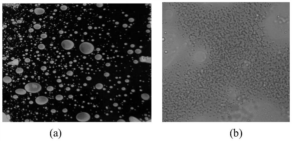 A kind of amphiphilic polymer containing capped polyether structure and its preparation and application