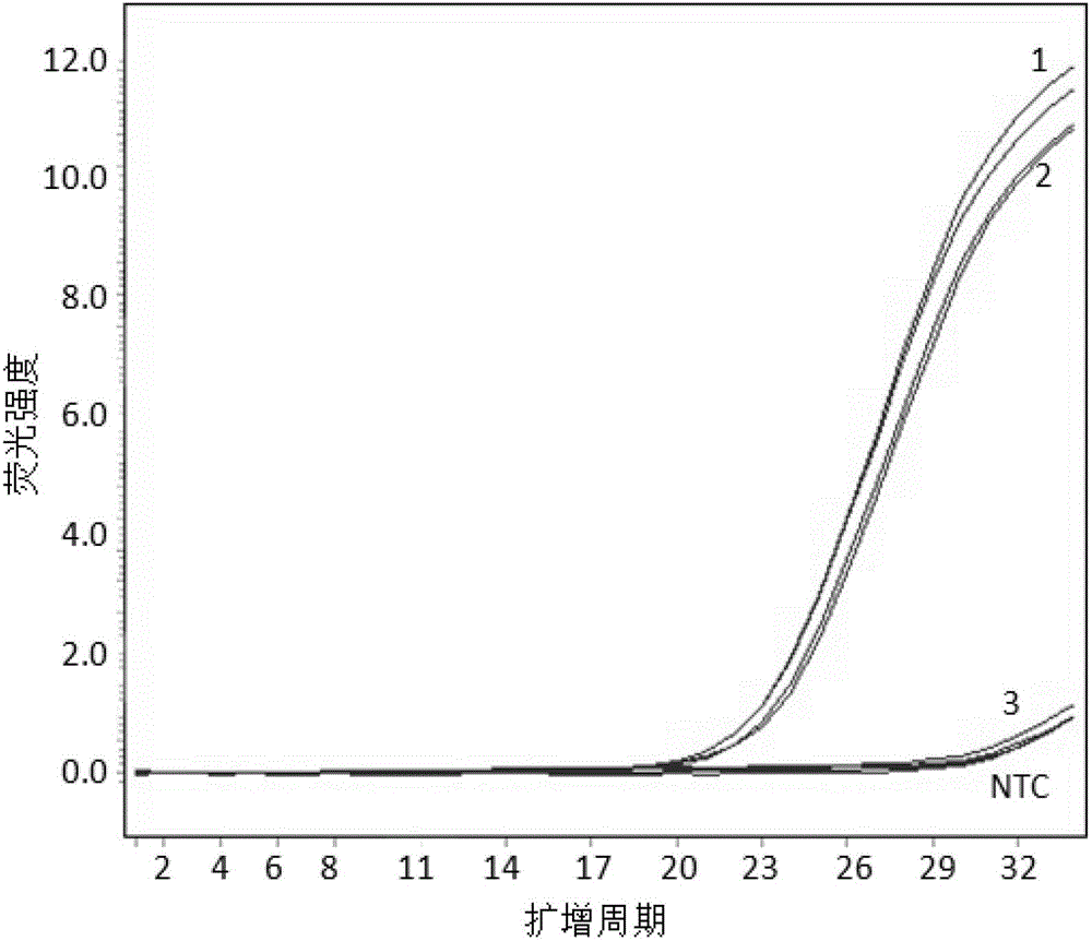 Kit and method for detecting human leucocyte antigen HLA-B*1502 genetype