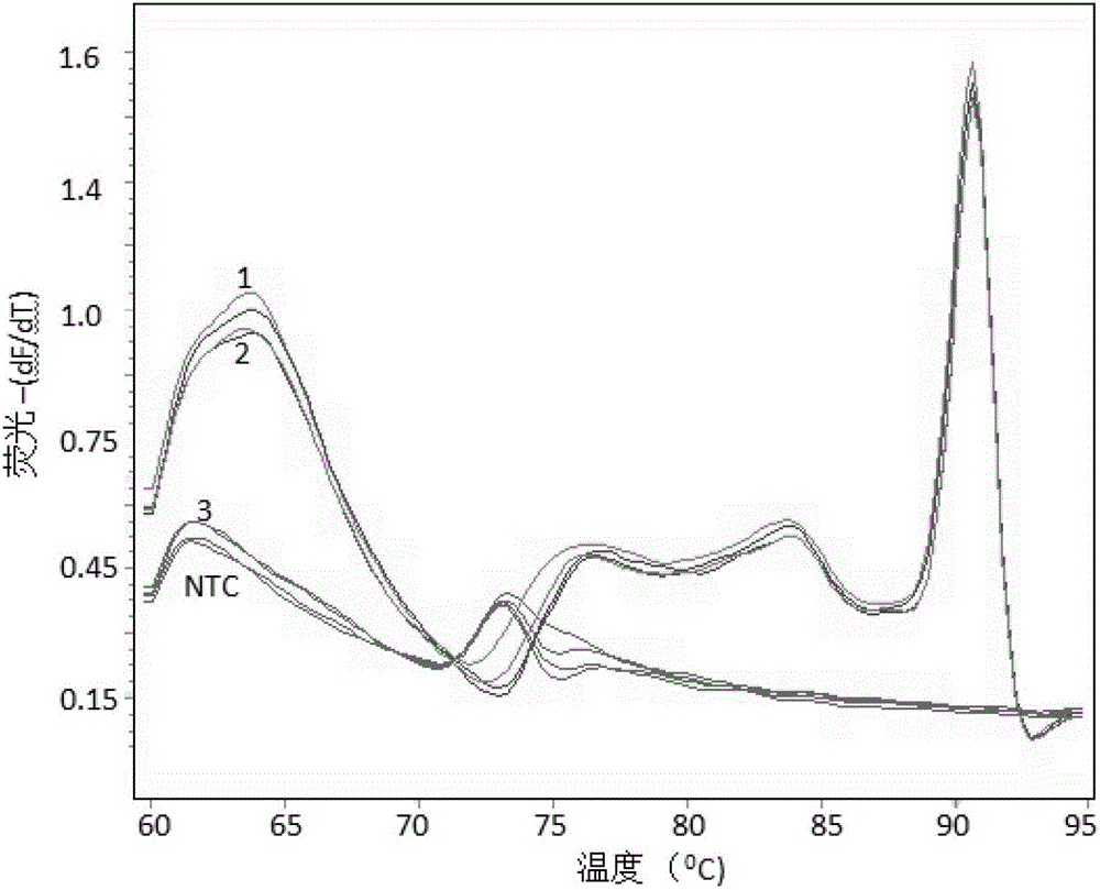 Kit and method for detecting human leucocyte antigen HLA-B*1502 genetype