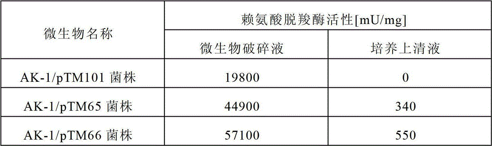 The preparation method of cadaverine