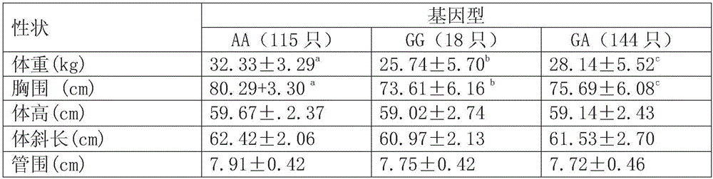 Method for assisting in identifying sheep growth characters based on rs430810656 SNP locus