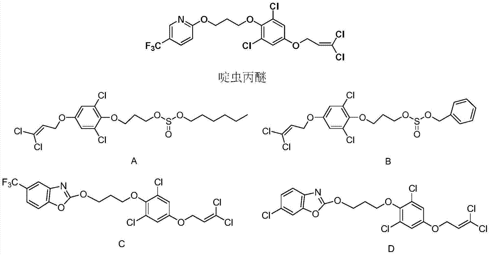 1, 1-dichloropropene ether compound containing n-substituent-3-methylpyrazole oxime unit structure, preparation method and application thereof