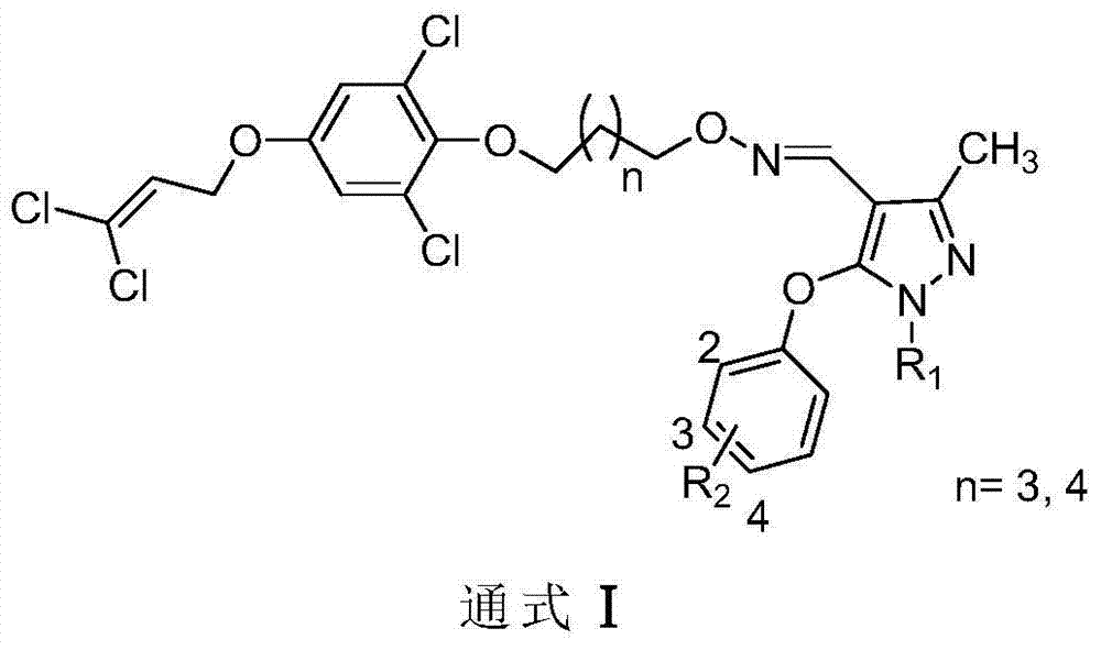 1, 1-dichloropropene ether compound containing n-substituent-3-methylpyrazole oxime unit structure, preparation method and application thereof