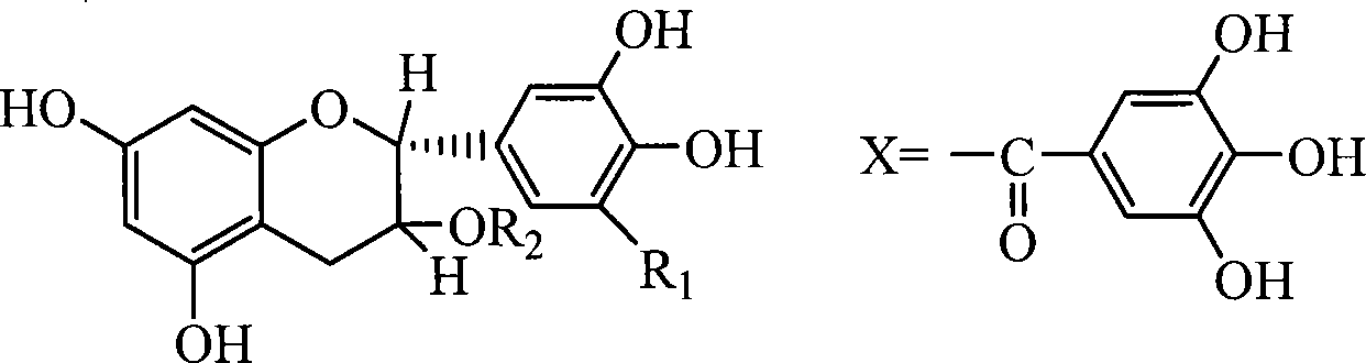 Method for extracting tea-polyphenol and separating monomer EGCG from tea