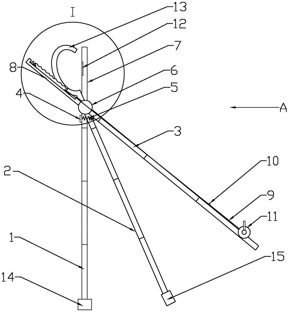 A kind of multifunctional tree branch trimmer