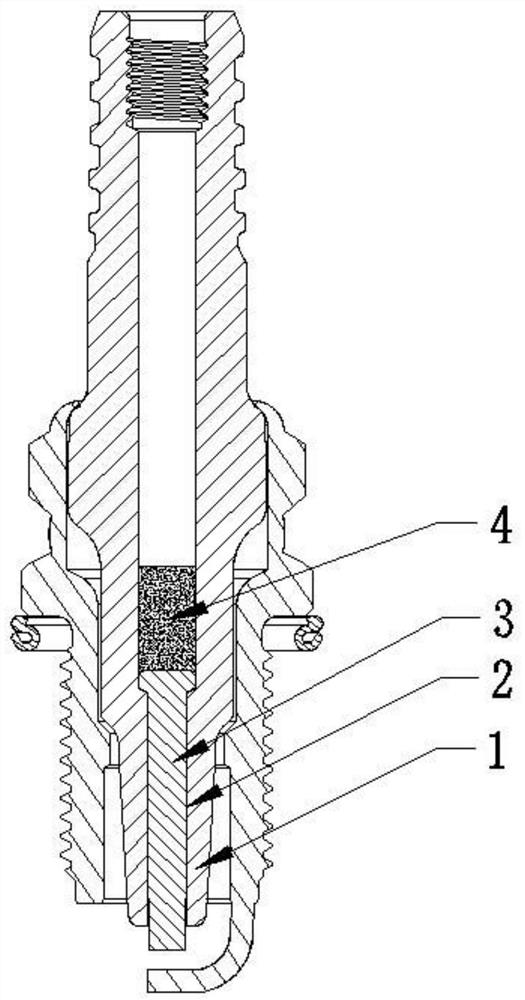 Sparking plug and press fitting method