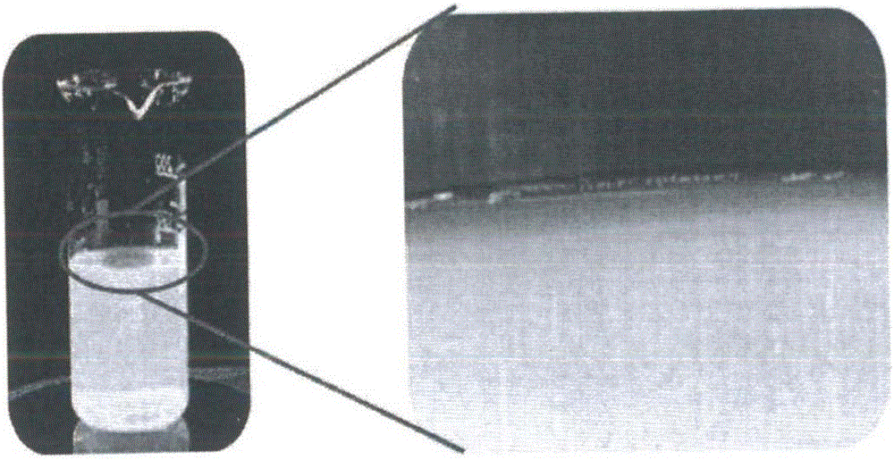 Blue emulsion composition containing lecithin and sodium dilauramidoglutamide lysine