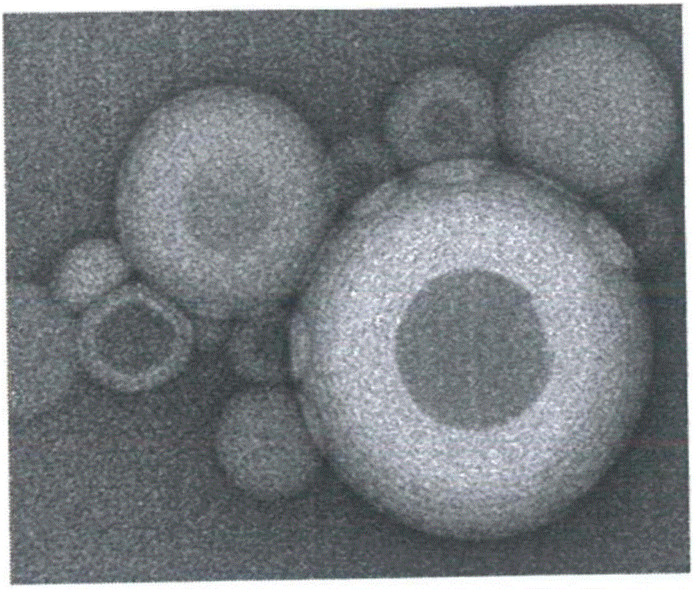 Blue emulsion composition containing lecithin and sodium dilauramidoglutamide lysine