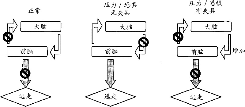 Domestic cat pinching guidance behavior inhibition device and method