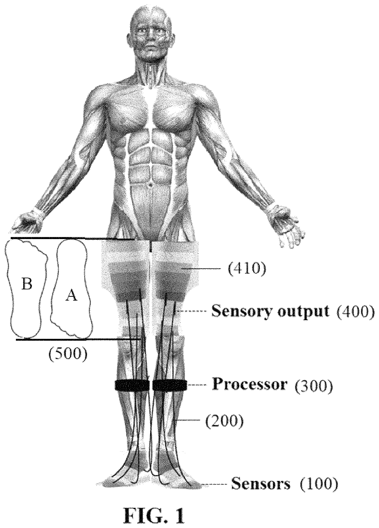 Signal transduction device