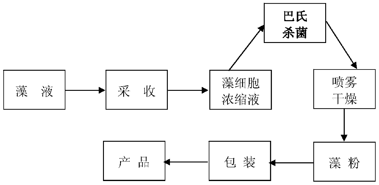 Method for controlling microbes in algae powder by combination of pasteurization and spray drying