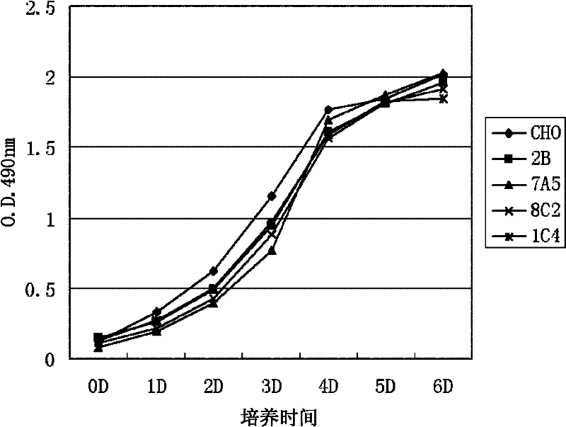 New application of protein Arginine methyltransferase 5