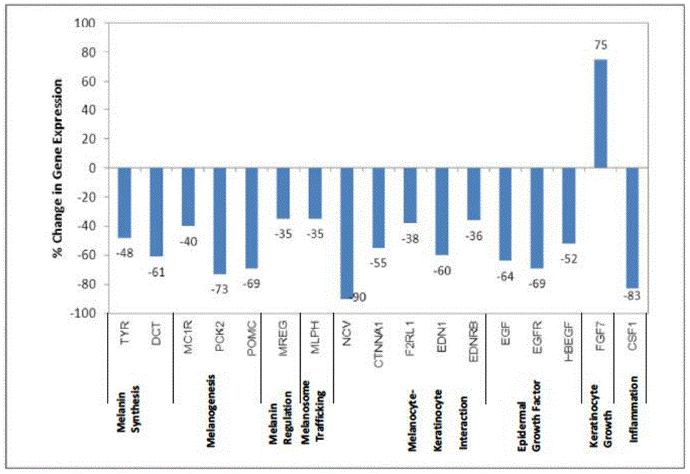 Composition with anti-oxidation, anti-ageing and whitening effects, cosmetic of composition, and production method of cosmetic