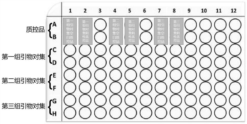 Kit for detecting high-frequency mutation of MMACHC gene by using melting curve