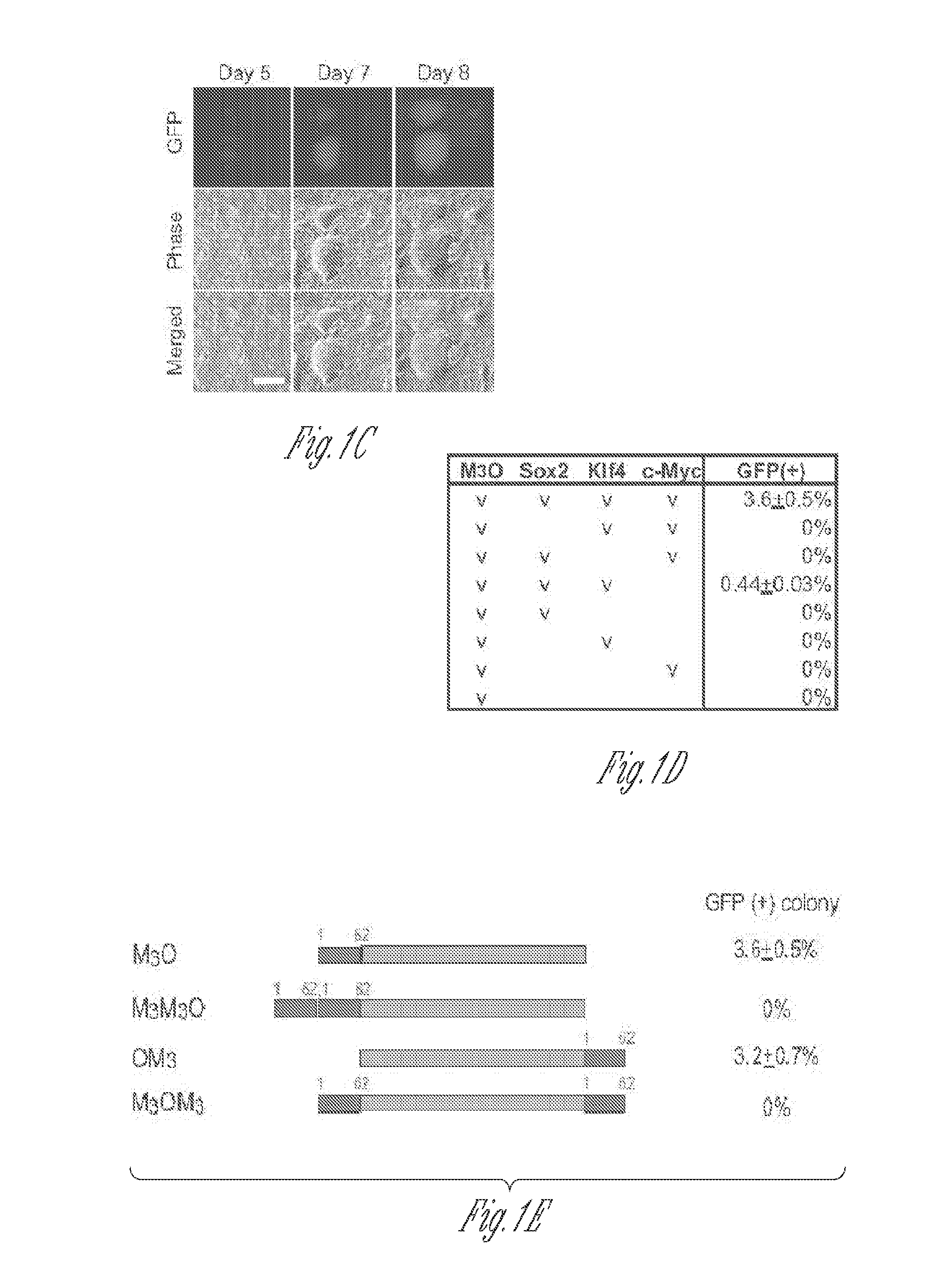 Induced pluripotent stem cells