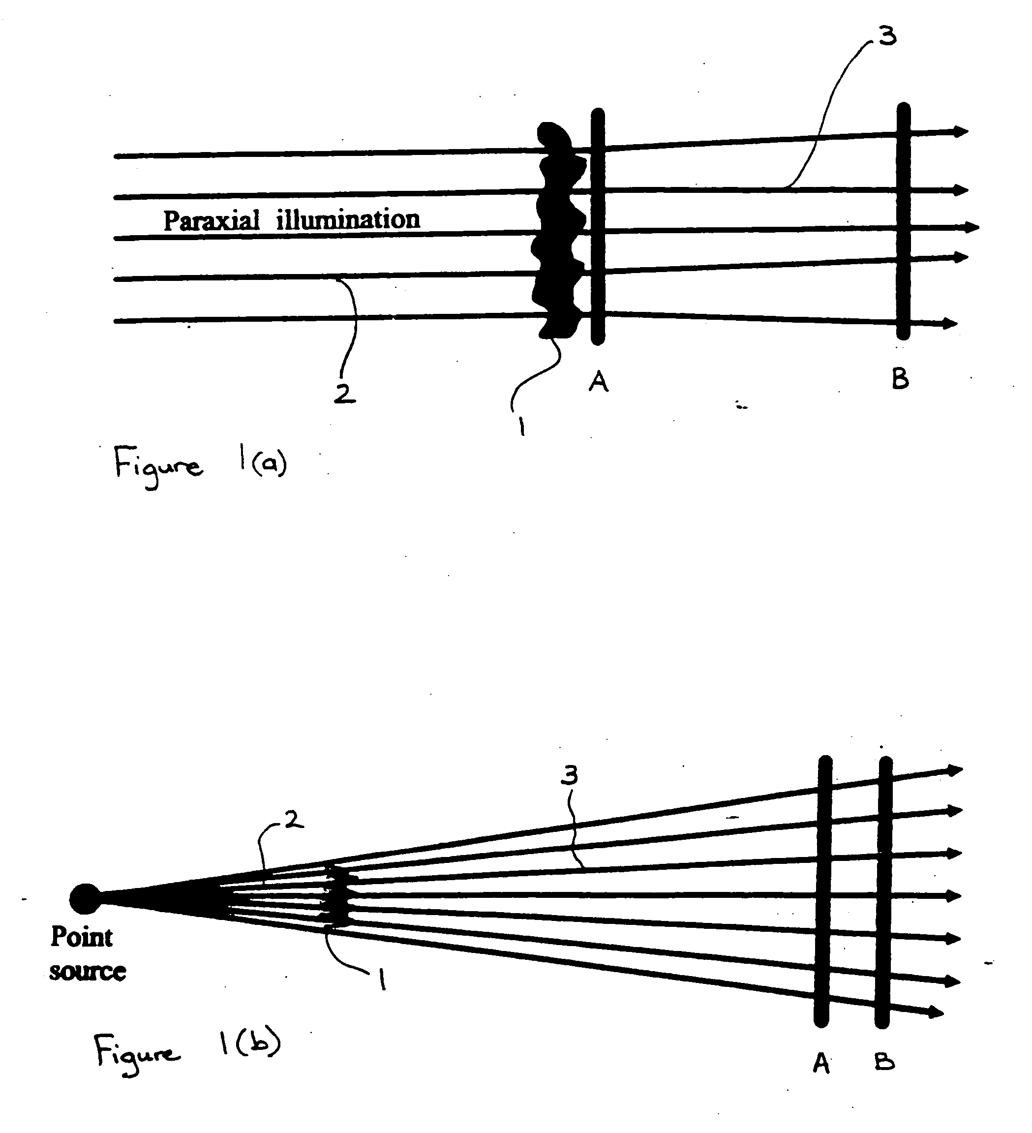 Phase determination of a radiation wave field