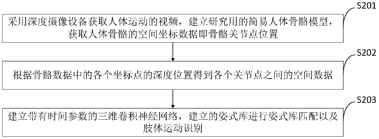 Human body action function detection system, detection method and detector